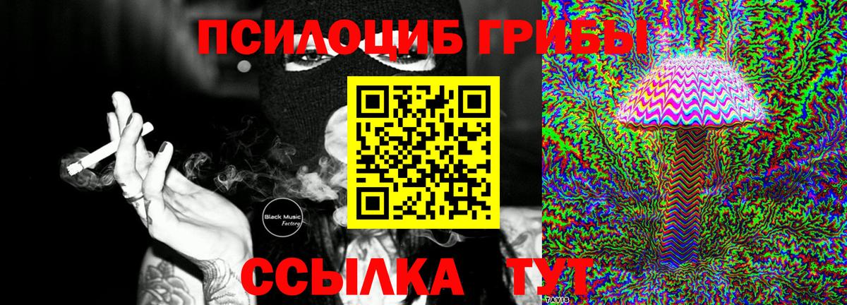 Галлюциногенные грибы GOLDEN TEACHER Ростов-на-Дону